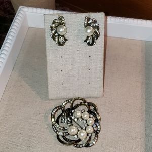 Brooch & Earrings Set